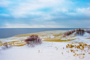 Karla kaplı kum tepecikleri ve sarı kuru otlar.