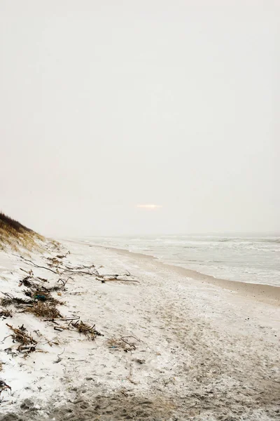 Заснеженные Песчаные Дюны Желтой Сухой Травой — стоковое фото