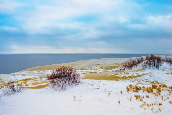 Karla Kaplı Kum Tepecikleri Sarı Kuru Otlar — Stok fotoğraf