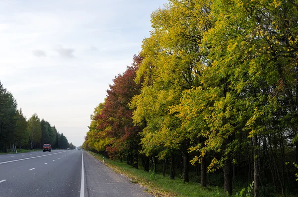 Landscape — Stock Photo, Image