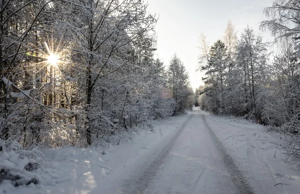 Winterlandschaft — Stockfoto