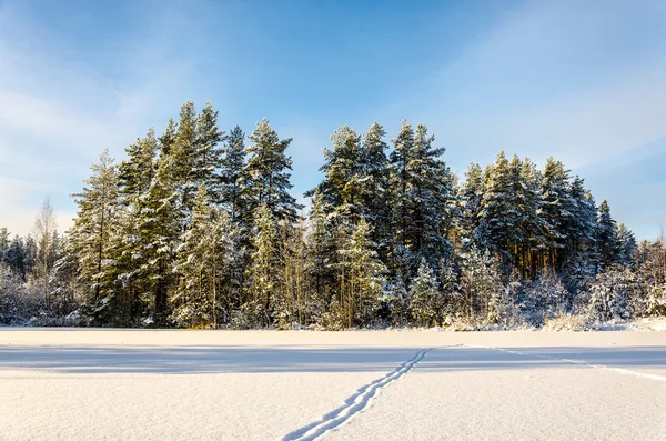 Paesaggio invernale — Foto Stock