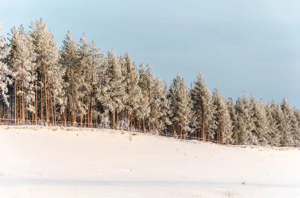 Paesaggio invernale — Foto Stock