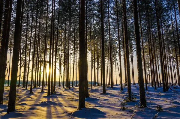 Paesaggio invernale — Foto Stock