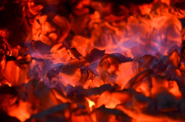 Odun ateşinde — Stok fotoğraf