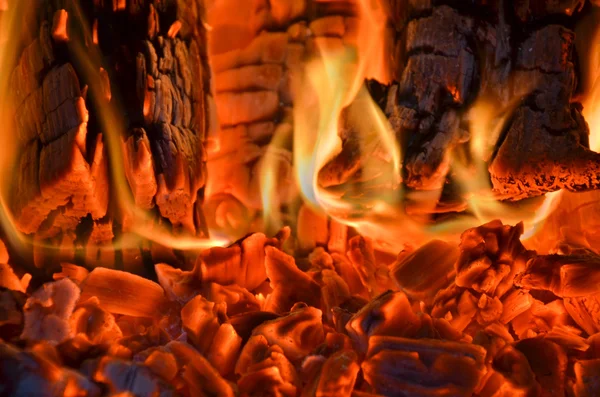 Wood in Fire — Stock Photo, Image