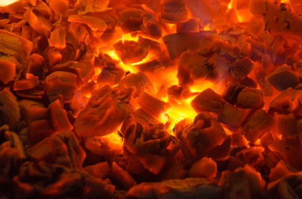 Wood in Fire — Stock Photo, Image