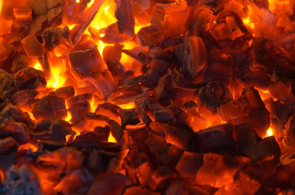 Carboni ardenti nel fuoco — Foto Stock