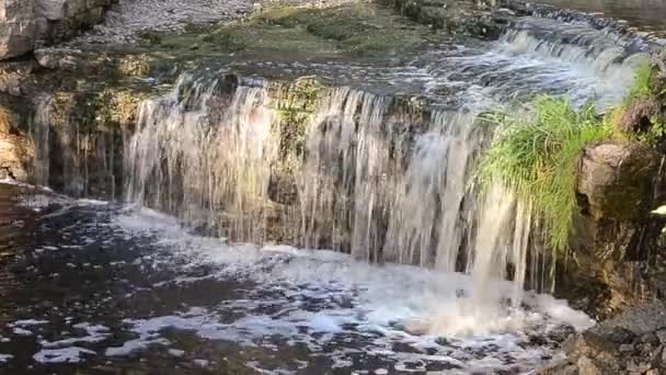 Маленький водопад — стоковое видео