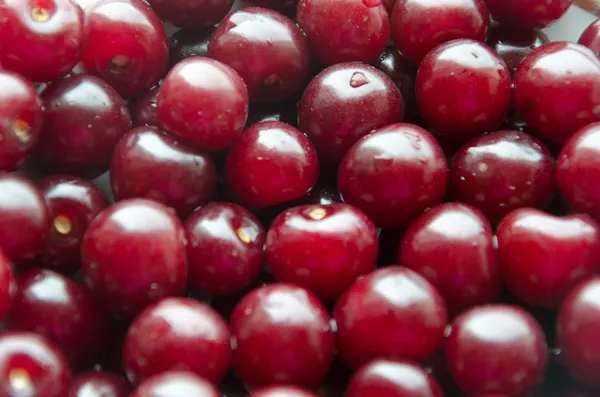 Fresh Cherry — Stock Photo, Image