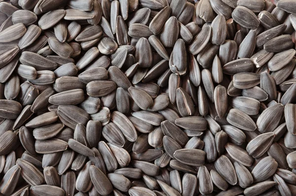 Sunflower seeds — Stock Photo, Image