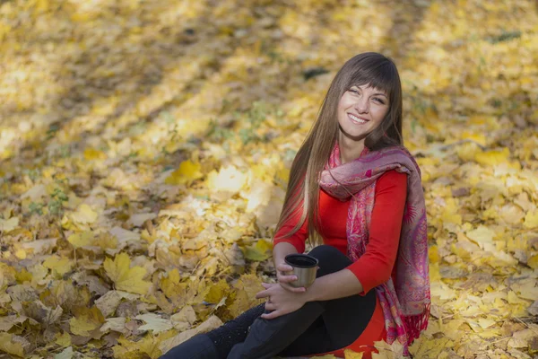 Krásná mladá dívka teplý podzim — Stock fotografie