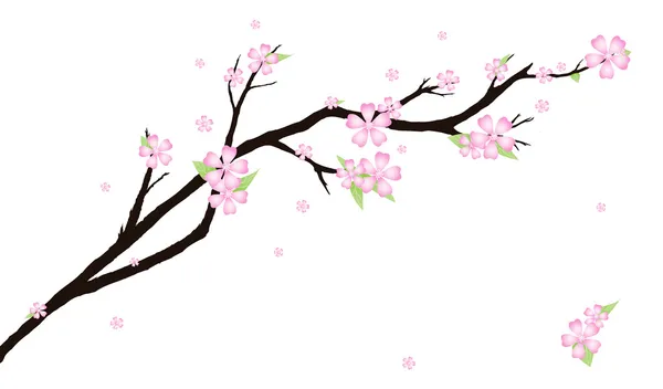 様式化された桜とカード — ストックベクタ