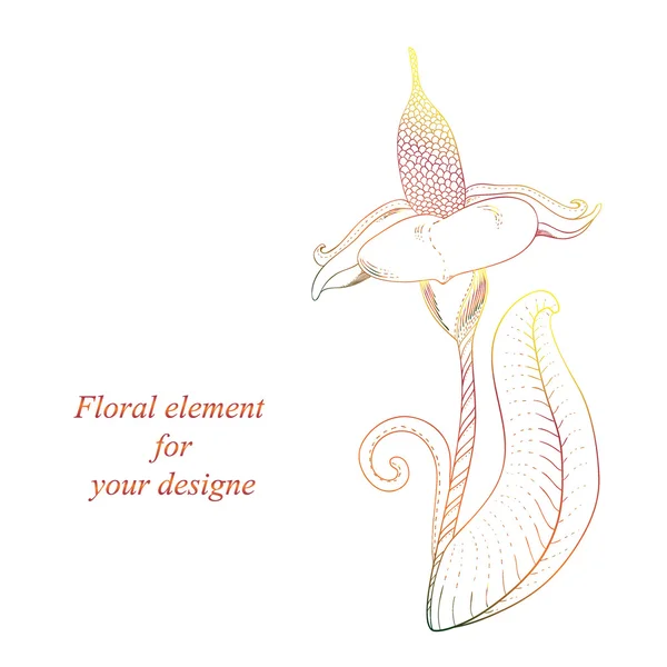 Fantasía elemento floral para su designe — Archivo Imágenes Vectoriales