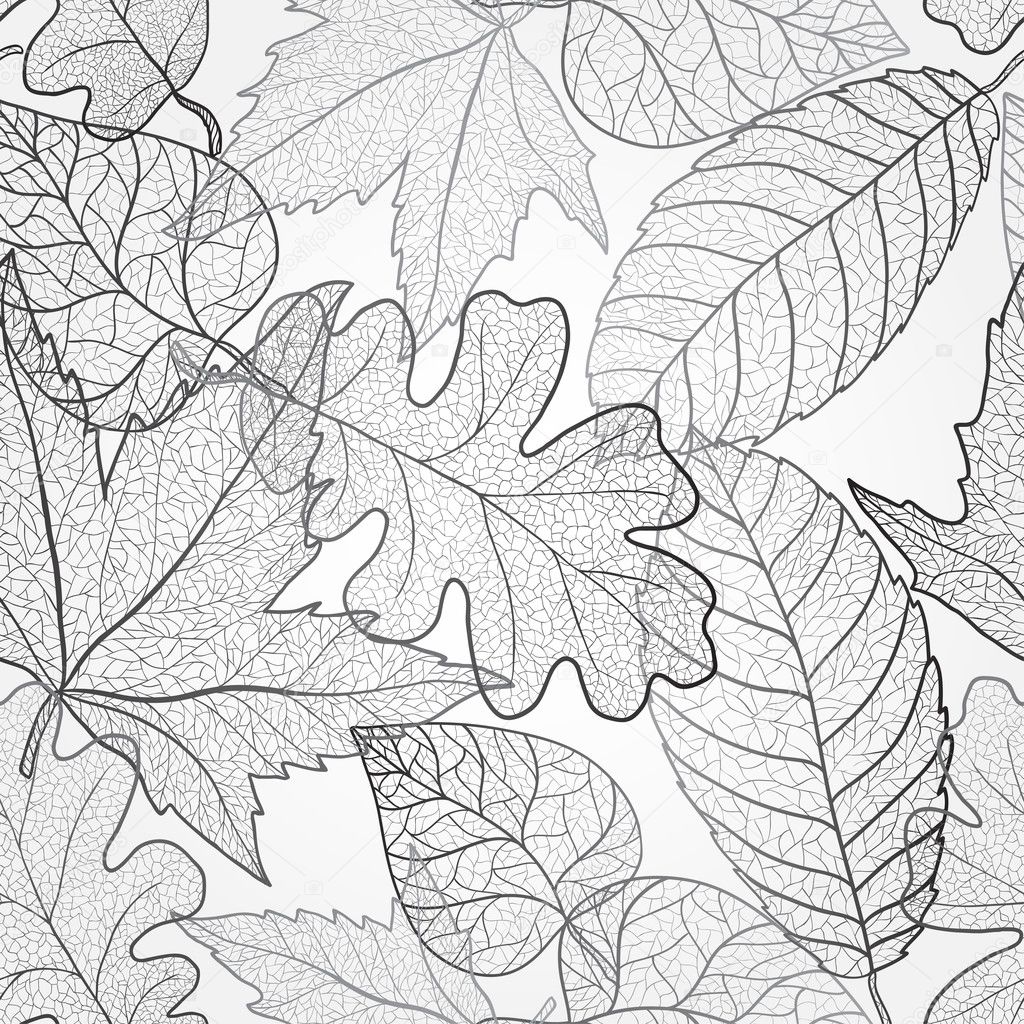Autumn Transparent Maple Leaves Pattern Background Black And