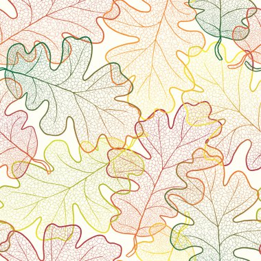 desen sorunsuz arka plan şeffaf akçaağaç sonbahar yaprakları.