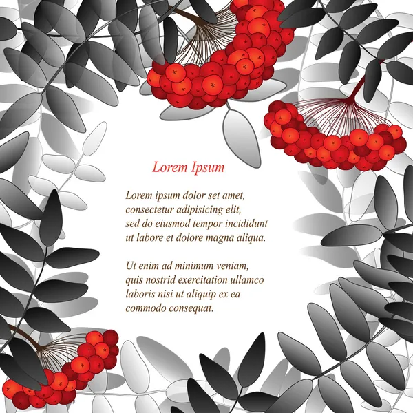 Arrière-plan avec des baies de rowan, feuilles et place pour votre texte. Version noir et blanc . — Image vectorielle