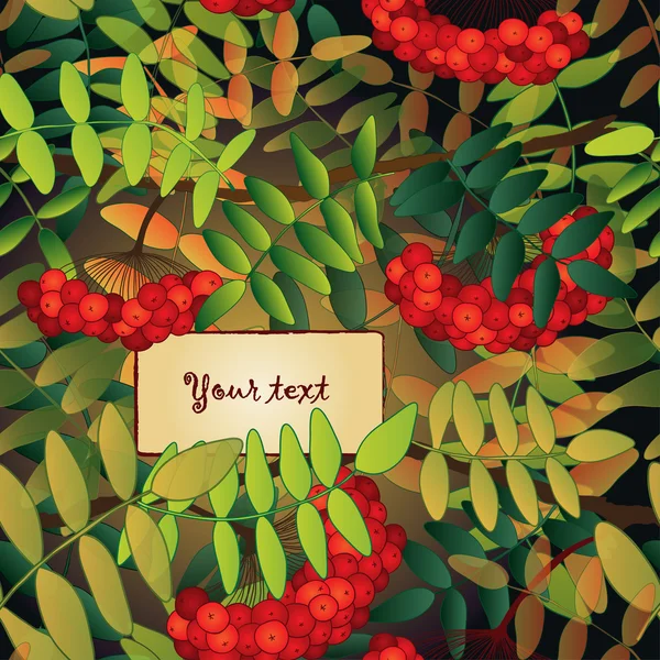 Фон с рованскими ягодами, листьями и местом для вашего текста . — стоковый вектор
