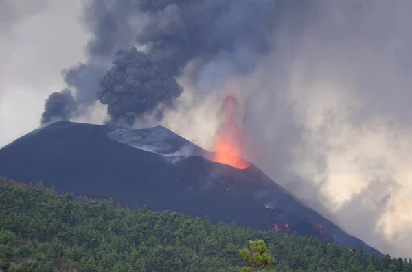 Volkanik patlama. Cumbre Vieja Doğal Parkı. La Palma. Kanarya Adaları. İspanya.