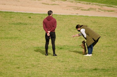 Çift ile onların köpek parkta oynarken.