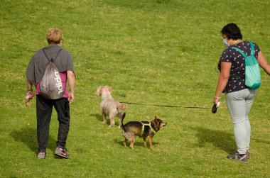 Kadınlar parkta köpeklerini gezdiriyorlar..