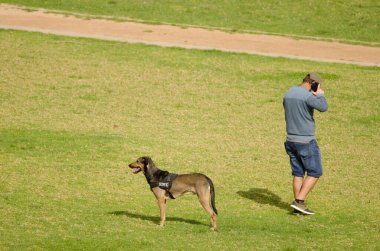 Telefonda köpeğiyle konuşan bir adam..