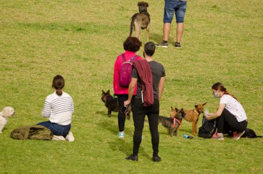 Parkta köpekleri olan insanlar..