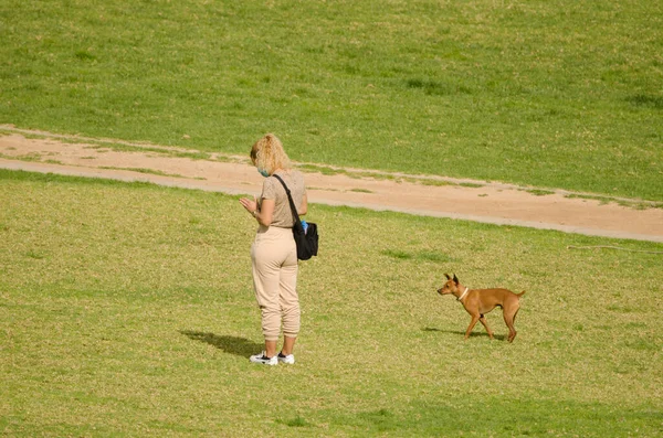 Mujer mirando el teléfono celular mientras pasea con su perro. — Foto de Stock