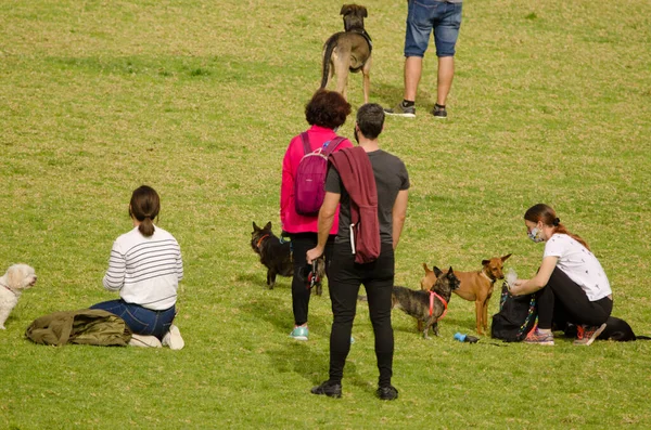Parkta köpekleri olan insanlar..