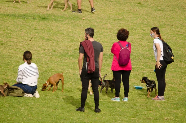 Parkta köpekleri olan insanlar..