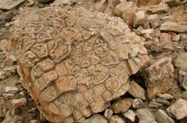 Altıgen bazalt sütunlu kaya.