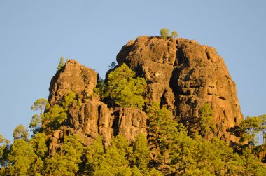 Morro de La Negra 'nın kayalık kayalıkları.