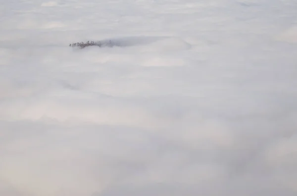 Crag Kanári-szigeteki fenyő kiemelkedik a tenger felhők. — Stock Fotó