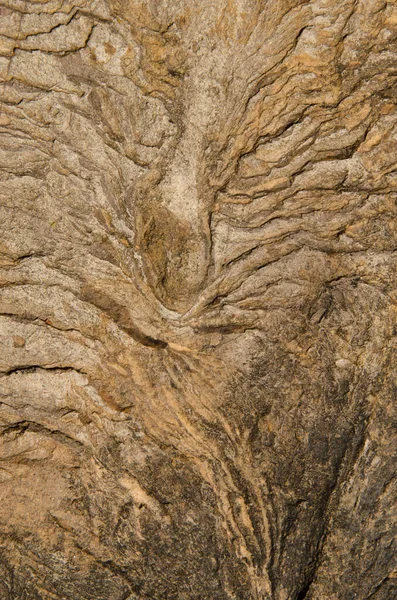 Risse und Spuren auf einem Felsen. — Stockfoto