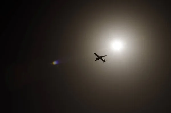 Avion Volant Contre Lumière Des Guimauves Gran Canaria Îles Canaries — Photo