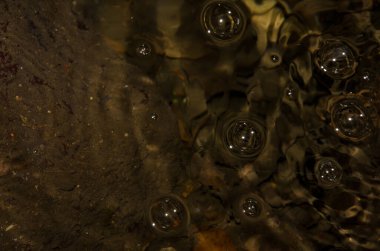 Bir derenin yüzeyinde kabarcıklar.