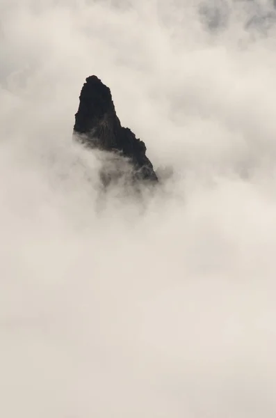 A cliff in a sea of clouds. — Stock Photo, Image