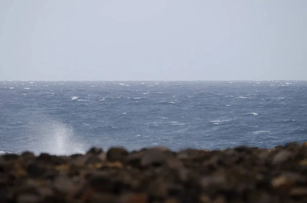 Golven breken tegen de kust. — Stockfoto