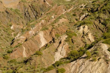 Hillside farklı katmanlarını gösteriyor.
