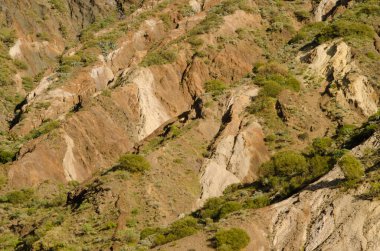 Hillside farklı katmanlarını gösteriyor.