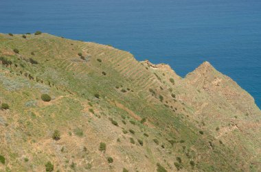 Hillside yanında deniz.