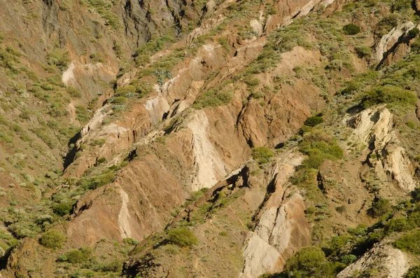 Hillside showing its different strata.