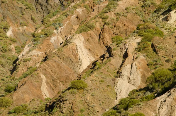 Hillside farklı katmanlarını gösteriyor.