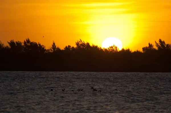 Sunset on the Senegal River in the Langue de Barbarie National Park. — стоковое фото