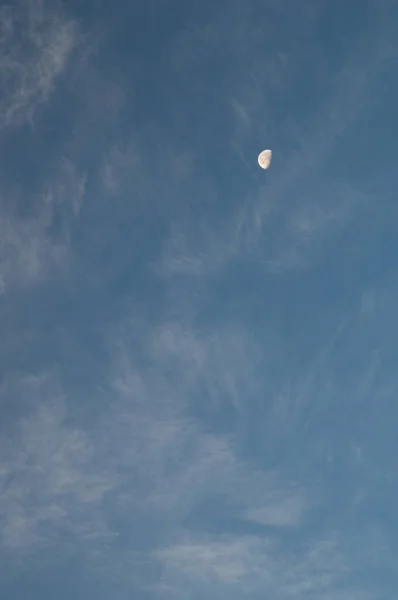月とバーバリー国立公園の雲 セネガル — ストック写真