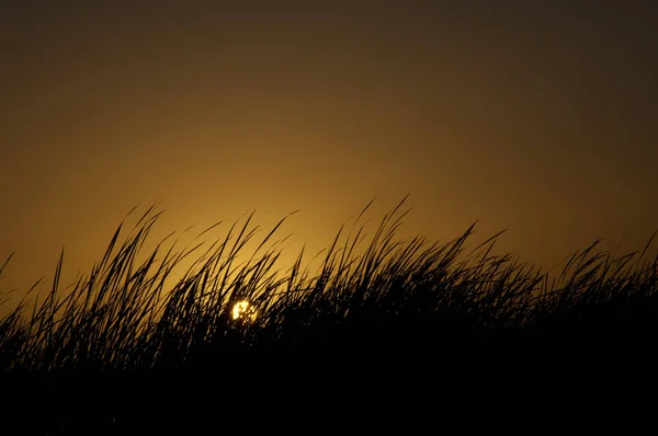 Oisaux Djoudj国立公園の日没 セネガル — ストック写真