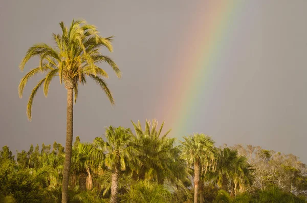 Rainbow over a garden. Tecina. San Sebastian de La Gomera. La Gomera. Canary Islands. Spain.