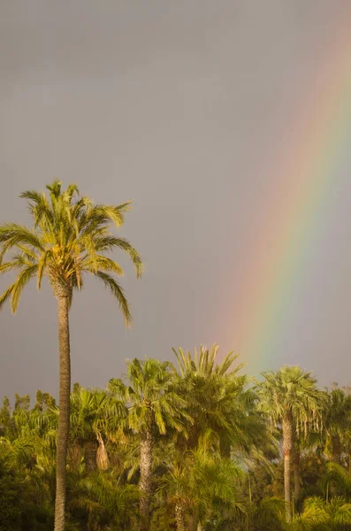 Rainbow over a garden. Tecina. San Sebastian de La Gomera. La Gomera. Canary Islands. Spain.