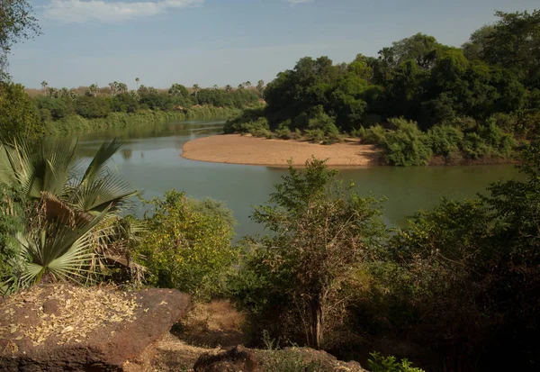 Gambia River Niokolo Koba National Park Tambacounda Senegal — ストック写真