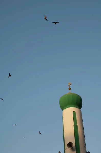 Minaret Mosque Black Kites Milvus Migrans Flight Dakar Senegal — стоковое фото